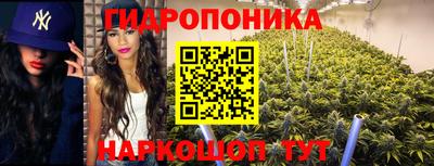 шишки Первоуральск