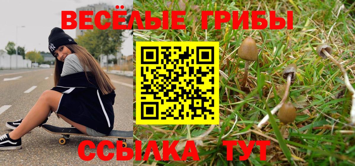 Полевской  Псилоцибиновые грибы мицелий  Вход с VPN 