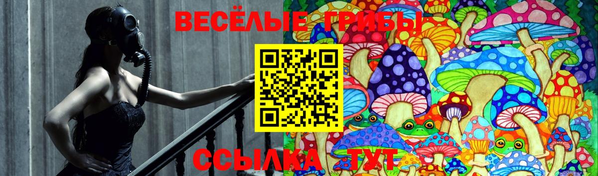 Псилоцибиновые грибы ЛСД Полевской